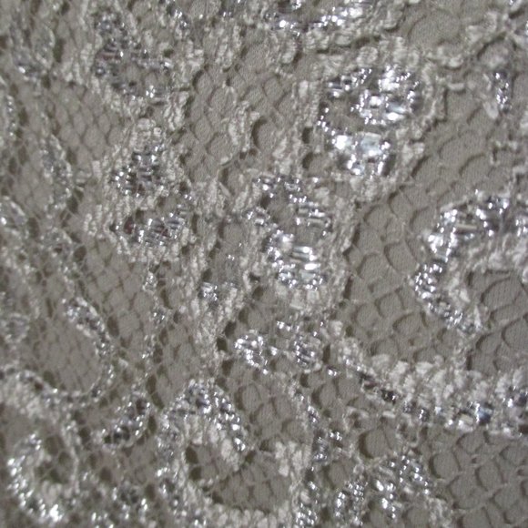 Calvin Klein Dress Feminine lacy tan/beige with stretch like new size 10 - Picture 7 of 10